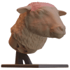 Sheep Head Model - Image 3